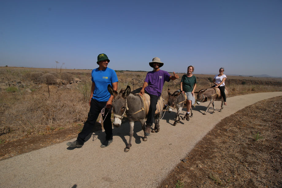 אטרקציות בצפון – גולן גליל